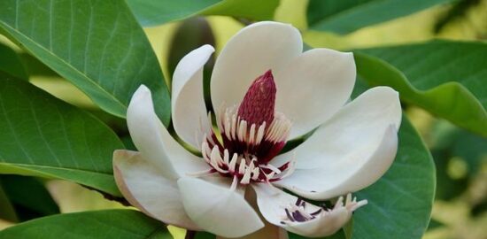 Nevšední zážitky ve Španělsku