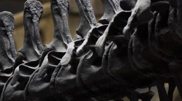 Historie a kultura Francie: Informative