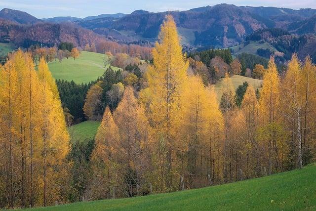 Různorodost krajiny a kultury ve Španělsku
