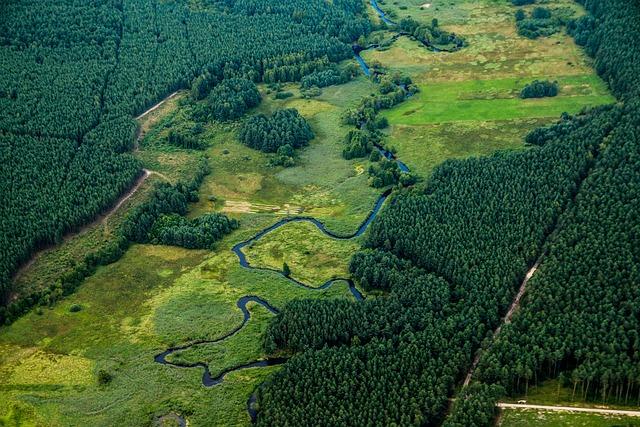 Polsko: Průvodce turistickou destinací