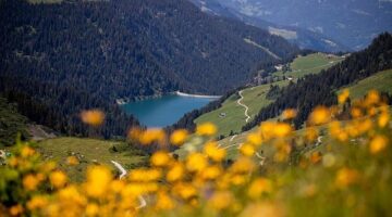Návody: Francie – cestování tipy a doporučení