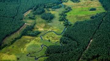 Polsko: Průvodce po nejlepších historických místech