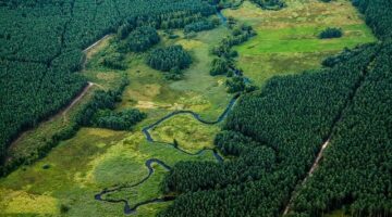 Polsko: Průvodce nejlepšími destinacemi pro cestování