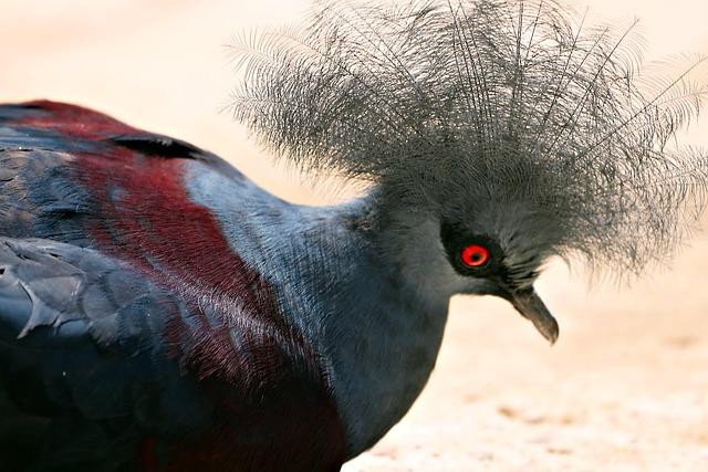 Jak získat vízum do Maďarska – podrobný průvodce