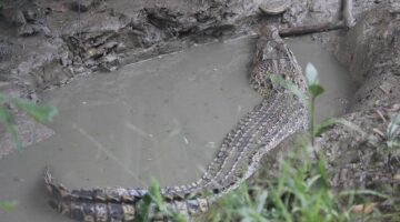 Krátkodobé výlety do Švýcarska: Inspirace a tipy