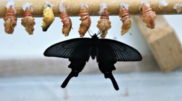 Jakě objevit skryté klenoty Chorvatska