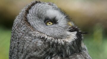 Fascinující Francie: informace a fakta