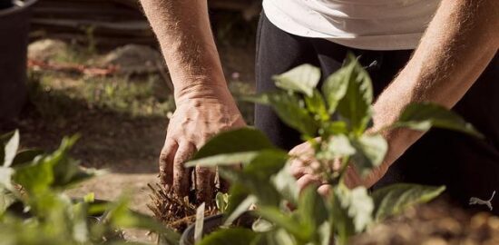 Země vína a kultury: Francie