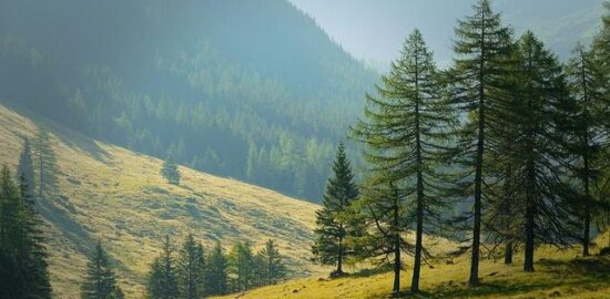 Jak prozkoumat skryté klenoty Itálie