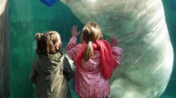 Srovnání nejlepších turistických atrakcí v Itálii