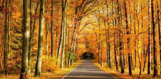 Polsko: Pět zajímavostí, které byste měli vědět