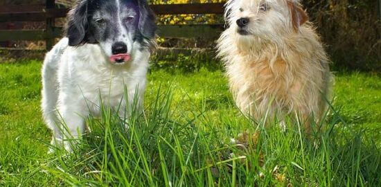 Jak si užít letní dovolenou v Chorvatsku