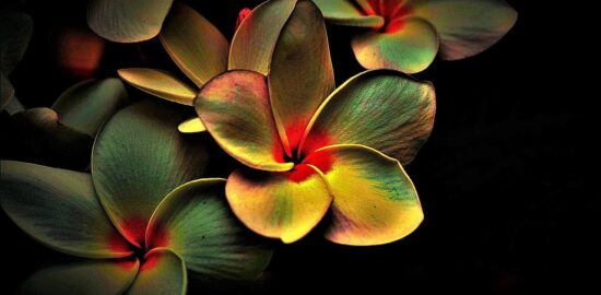 Poznejte malebnou Francii: Informative