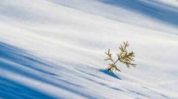 Švýcarské kantony: Průvodce pro turisty a investory