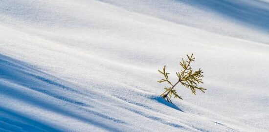 Švýcarské kantony: Průvodce pro turisty a investory
