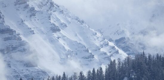 Přehled nejlepších polských festivalů 2023