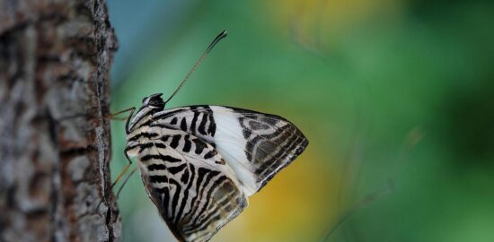 Poznejte krásy Francie
