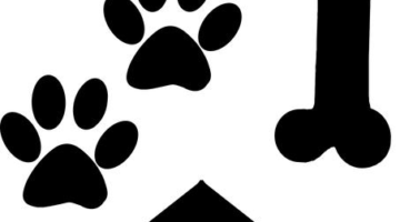 Po stopách slunce a flamengové hudby: cestování po Španělsku