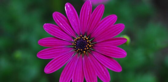 Objevujeme nejkrásnější místa Španělska