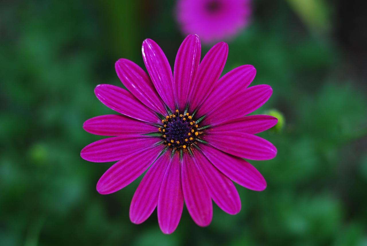 Objevujeme nejkrásnější místa Španělska