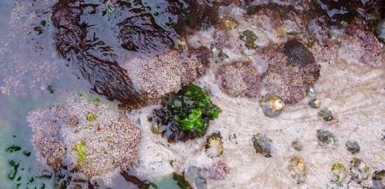 Fascinující Francie: Informative článek o turistických atrakcích, kultuře a gastronomii