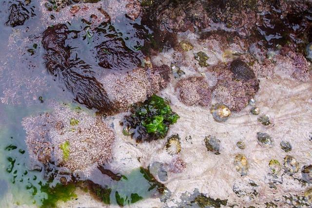 Fascinující Francie: Informative článek o turistických atrakcích, kultuře a gastronomii