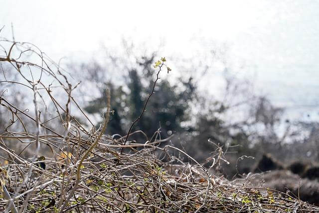 Jak si užít Maďarsko: Informative průvodce kulturou a památkami