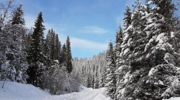 Poutavá cestovatelská inspirace po Polsku