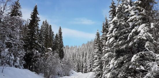 Poutavá cestovatelská inspirace po Polsku