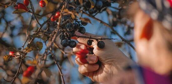 Jak vybrat nejlepší lyžařská střediska ve Švýcarsku