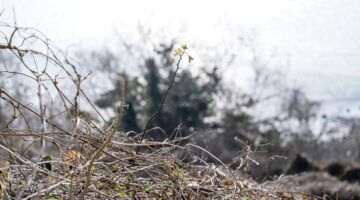 Jak si užít Maďarsko bez problémů?