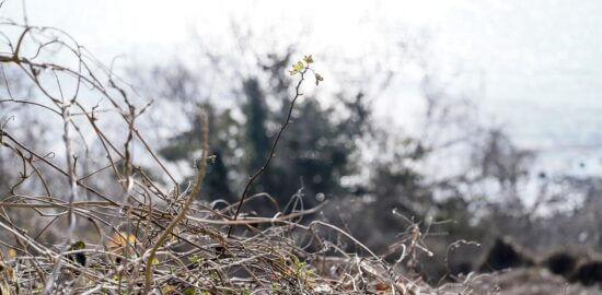 Jak si užít Maďarsko bez problémů?