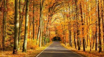 15 nejzajímavějších památek v Polsku