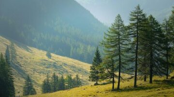 Jak prozkoumat skryté poklady Chorvatska