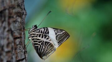 Odkryjte krásy Itálie: Informative