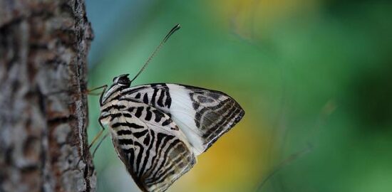 Odkryjte krásy Itálie: Informative