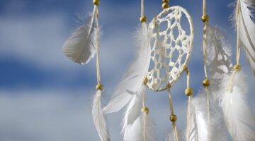 Kulturní a cestovní tipy pro návštěvu Francie