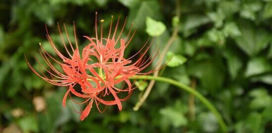 Fascinující Polsko: Informative