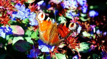 Nezapomeňte navštívit Itálii – Informative