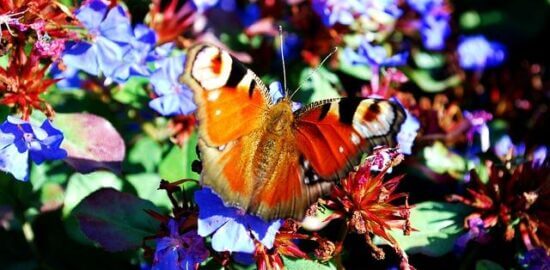 Nezapomeňte navštívit Itálii – Informative