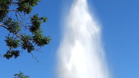 Kulturní bohatství Polska: Informative článek