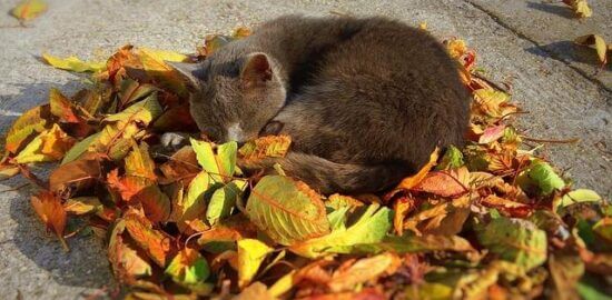 Jak co se dozvědět o Maďarsku?