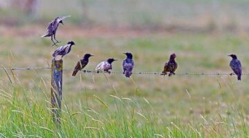 Nejlepší místa k návštěvě na jihu Francie