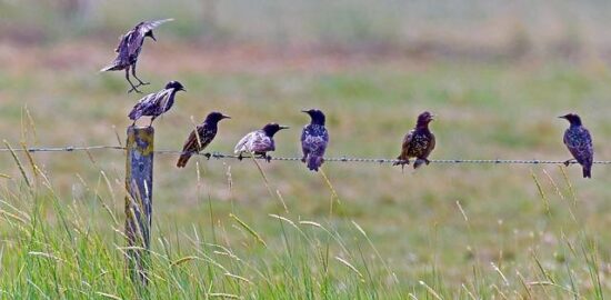 Nejlepší místa k návštěvě na jihu Francie