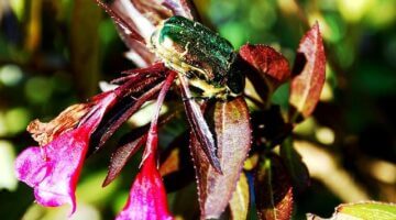 Jak navštívit Chorvatsko s rozpočtem