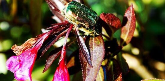 Jak navštívit Chorvatsko s rozpočtem