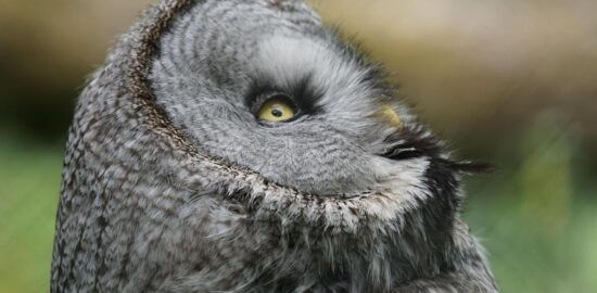 Fascinující Švýcarsko: Informative