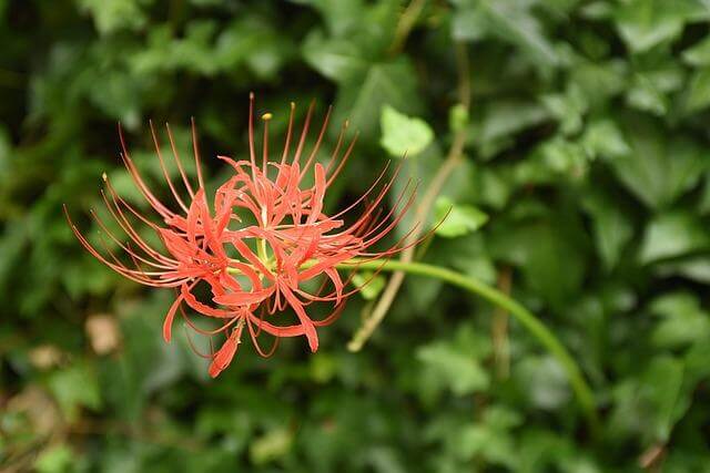 Fascinující Španělsko: Informative článek