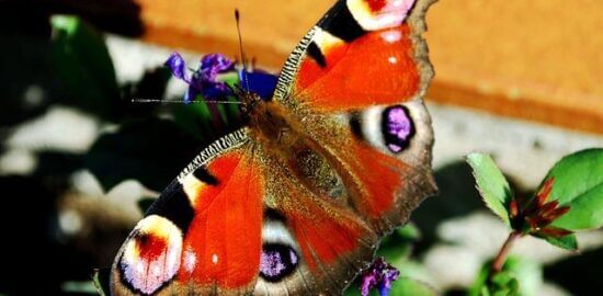 Jak navštívit Chorvatsko s minimálním rozpočtem