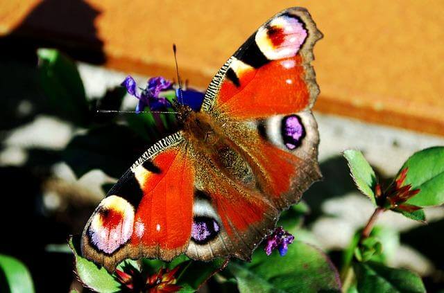 Jak navštívit Chorvatsko s minimálním rozpočtem